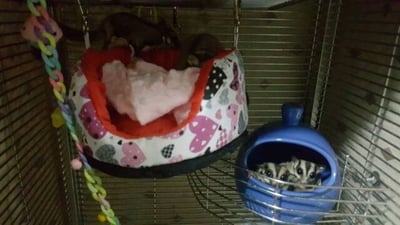 法蘭絨+荳荳布沙發窩1