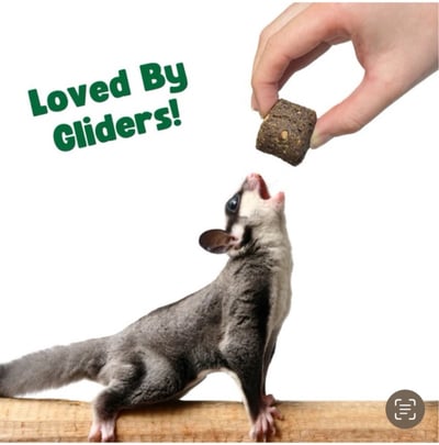 Berry Bites 莓果零嘴20克3