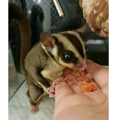 ISLAND BLEND TREAT 熱帶島嶼果乾 100G(散裝)4