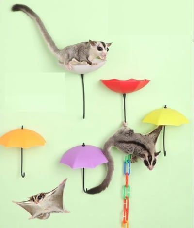 雨傘跳台 (三個一組不挑色)鍊子另購2