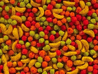 水果磨牙餅(圓) 100G1