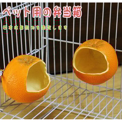橘子造型 小鳥/蜜袋鼯 可掛樹脂食盒1