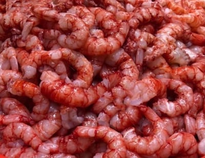 胭脂蝦乾 10G/20G3