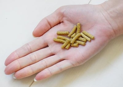 イースター　フクロモモンガセレクション 粉乾糧3