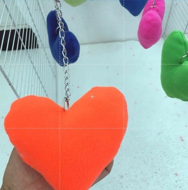 籠內掛式愛心玩具2