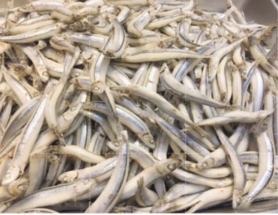 自製新鮮無鹽丁香魚/小魚鮮食 (僅冷凍宅配)3