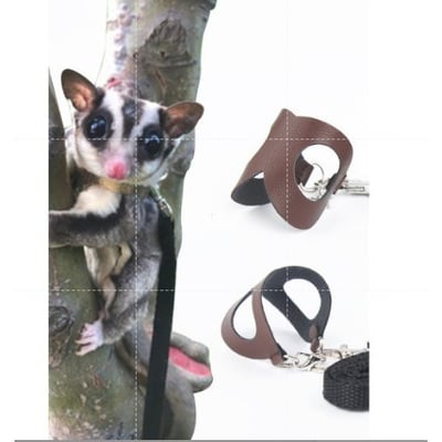 蜜袋鼯背帶三件組2