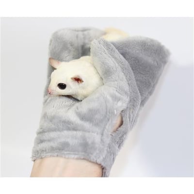 培養感情手套(Exotic Nutrition's )6