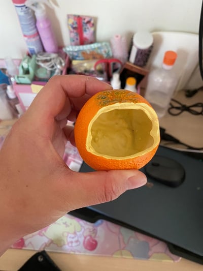 橘子造型 小鳥/蜜袋鼯 可掛樹脂食盒5