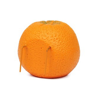 橘子造型 小鳥/蜜袋鼯 可掛樹脂食盒3