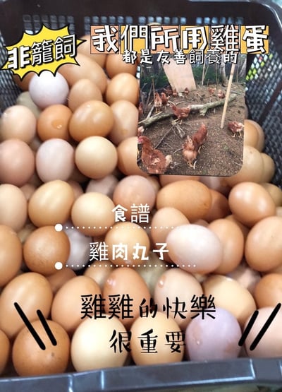 【限冷凍宅配/超商冷凍配送】蒸的雞肉泥塊(原味&年菜系列花椰菜+紅蘿蔔)3