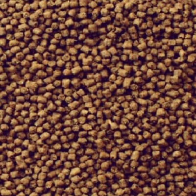 Mazuri 食蟲目乾糧2