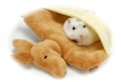 蜜袋鼯/袋鼠造型可愛吊窩4