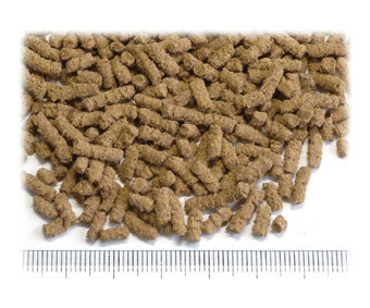 三晃商会 SANKO 黑乾糧3