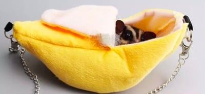 絨布可愛香蕉窩2