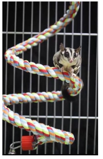 大中小型鸚鵡蜜袋鼯 攀爬繩1