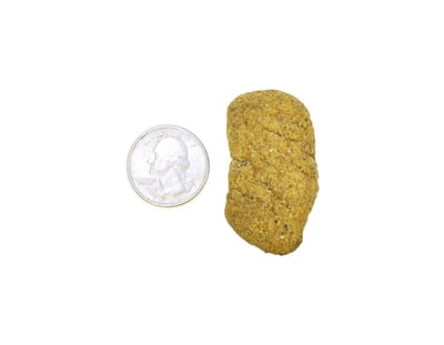 MONKEY BISCUITS (ORANGE) 猴子乾糧 (散裝販售)3