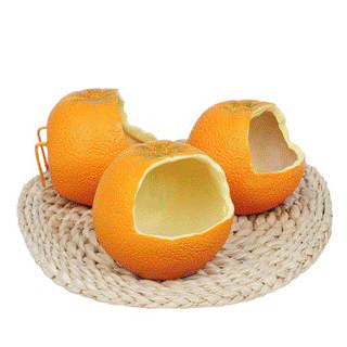 橘子造型 小鳥/蜜袋鼯 可掛樹脂食盒2