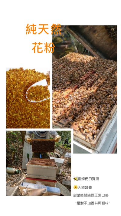 【限冷凍宅配/超商冷凍配送】 GliderKids Wombaroo Staple食譜(GHPW) (HPS高蛋白補充素) 一隻蜜袋鼯一個月份5