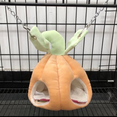 二個洞口南瓜窩1