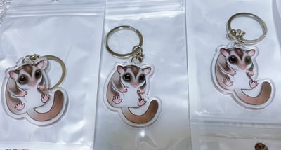 蜜袋鼯壓克力鑰匙圈2