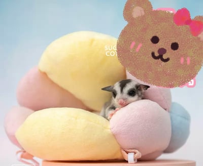 貝殼睡窩(內搭仿兔毛園內襯)(18*16*11)2