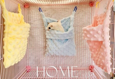 荳荳布開口吊窩1