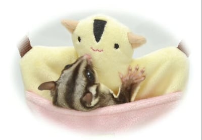 蜜袋鼯/袋鼠造型可愛吊窩5