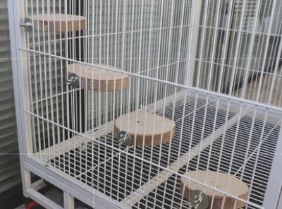 籠內圓形胺樹踏板每塊約 10-14公分2