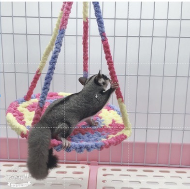 籠內圓形玩具吊飾 直徑18cm左右 (不挑款)1