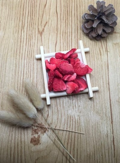 單口味蔬果乾 甜菜根 高麗菜乾 番茄乾 蘋果丁 南瓜乾 紅蘿蔔丁 花椰菜 小黃瓜乾 藍莓 蔓越莓 草莓 鳳梨 奇異果 紅色火龍果5