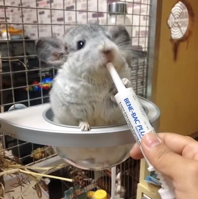 雲朵太空艙睡窩(中/大)1