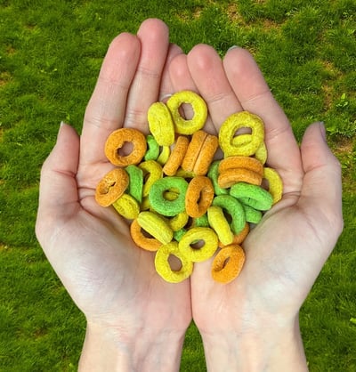 Fruity-O's Treat水果味-甜甜圈潔牙3