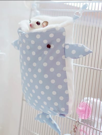 鲸鲨吃掉蜜袋鼯睡窩19*19(+尾巴22)公分1