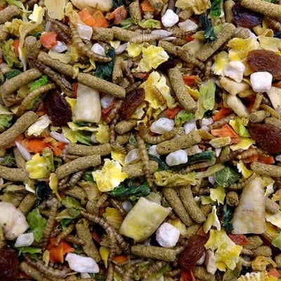 NPF 天然寵物食品 野菜乾糧3