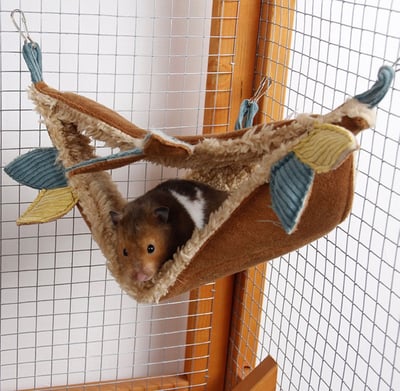 叢林系列三角吊床1