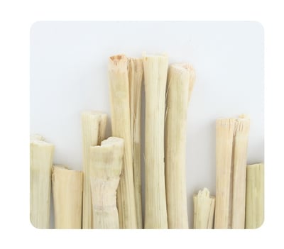 天然甜竹100G (天竺鼠兔子龍貓倉鼠)1