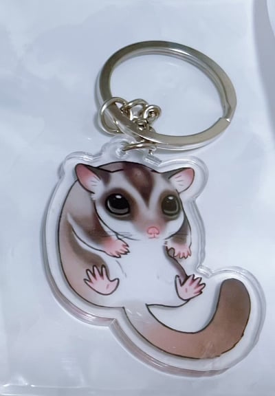 蜜袋鼯壓克力鑰匙圈1