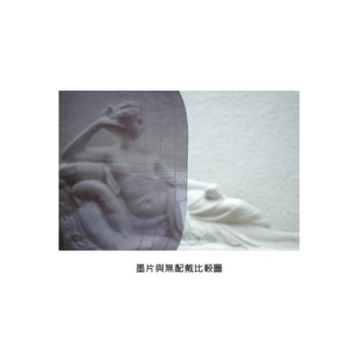 PROVIZOR 澳洲寵物防護面罩 短版 多尺寸【透明/遮光墨片】防撞防舔護眼 日常照護or手術完照護9