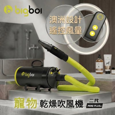 澳洲 bigboi mini plus全新遙控款 保固三年 MINI PLUS 寵物冷熱吹風機 原裝進口 貓狗吹水機(整新福利品)1