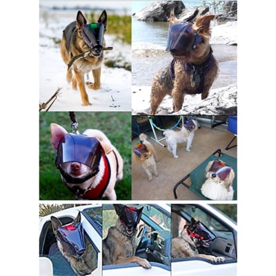 PROVIZOR 澳洲寵物防護面罩 短版 多尺寸【透明/遮光墨片】防撞防舔護眼 日常照護or手術完照護8