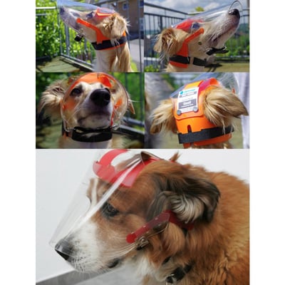 PROVIZOR 澳洲寵物防護面罩 常規 多尺寸【透明/遮光墨片】防撞防舔護眼 日常照護or手術完照護7