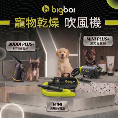 澳洲 bigboi mini plus全新遙控款 保固三年 MINI PLUS 寵物冷熱吹風機 原裝進口 貓狗吹水機(整新福利品)2