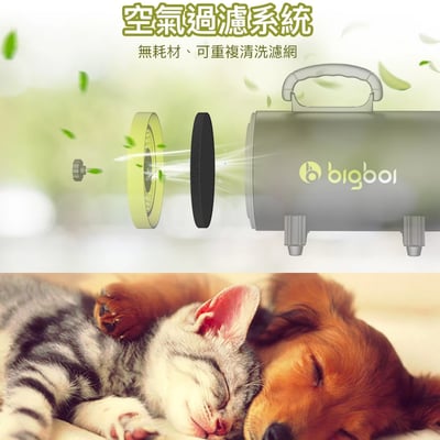澳洲 bigboi 寵物冷熱吹風機含手持軟管組 Buddi PLUS+ 澳洲原裝進口 保固三年9