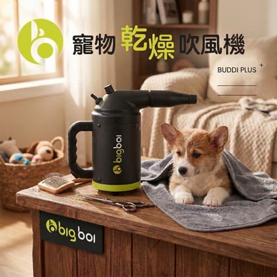 澳洲 bigboi 寵物冷熱吹風機含手持軟管組 Buddi PLUS+ 澳洲原裝進口 保固三年1