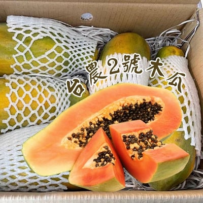 台農二號鮮採美味木瓜1