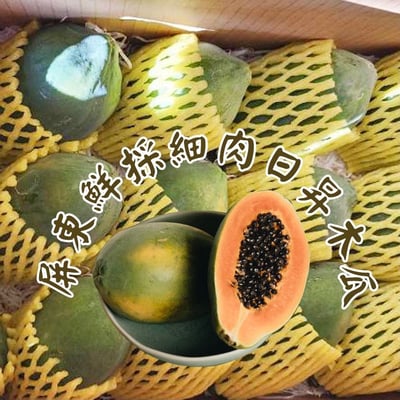 屏東肉細香甜網室日昇網室木瓜1