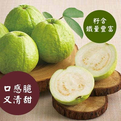 彰化脆甜高品珍珠芭樂8斤裝3