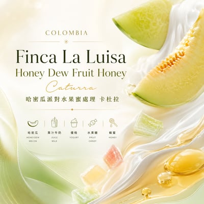 哥倫比亞 露易莎莊園 哈密瓜派對  水果蜜處理 卡杜拉1