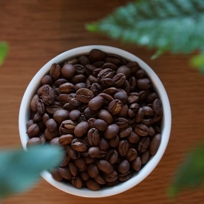 瓜地馬拉 薇薇特南果 水洗1